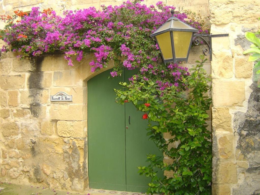 "Steves Villas" Villa Ta Rosi Xagħra Oda fotoğraf